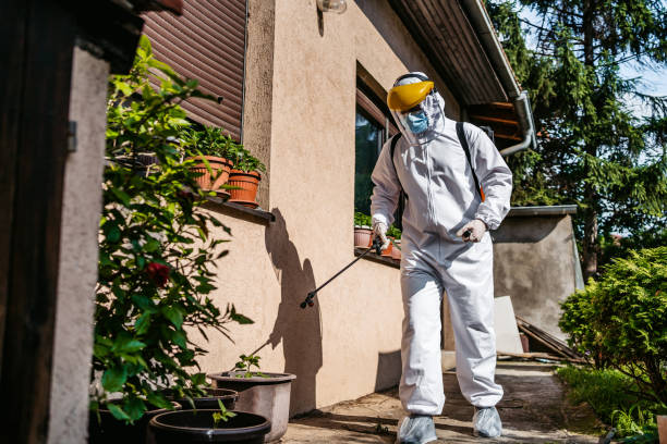 Best Cockroach Control Services  in Dumbarton, VA