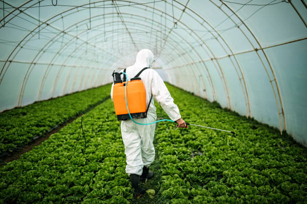 Best Best Pest Control Companies  in Dumbarton, VA
