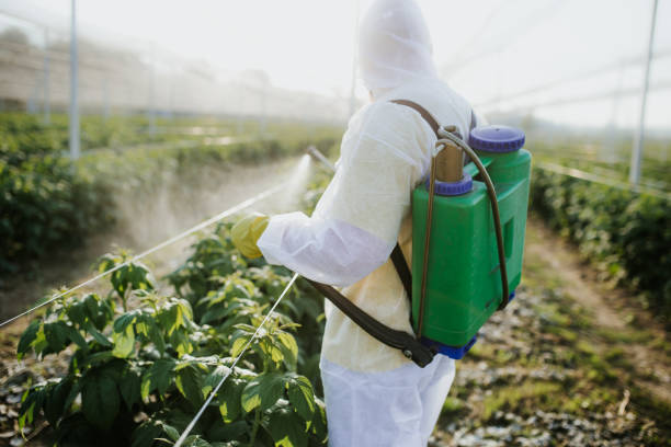 Best Local Pest Control Services  in Dumbarton, VA